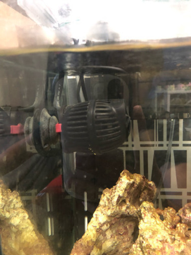 海水水槽一式セット
