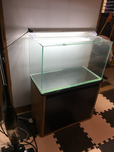 取引中  60水槽セット 早い方優先