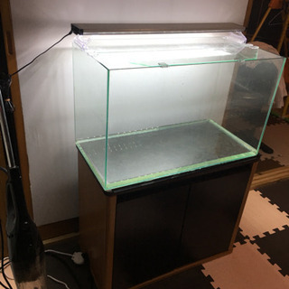 取引中  60水槽セット 早い方優先の画像