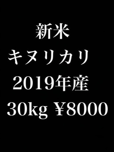 新米 キヌヒカリ 2019年産