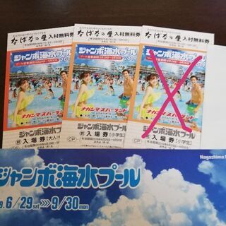 【大人１枚交渉中】ナガシマジャンボ海水プール大人１枚小学生１枚セ...