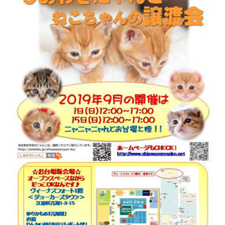 猫の譲渡会会場にスペース貸していただけませんか？
