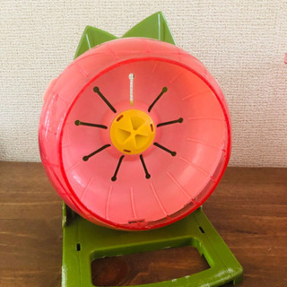 【ハムスター飼育一式】の画像