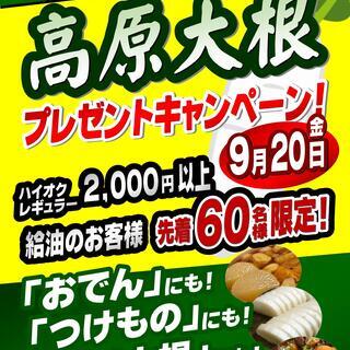 高原大根プレゼントキャンペーン！