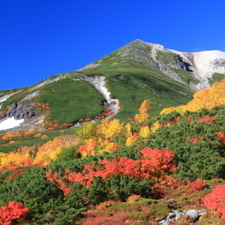 山登りハイキング仲間会員募集2019/10/9(水)紅葉の憧れの...
