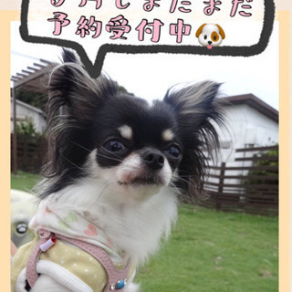 9月の後半も、まだ空きがあります(^_^;)