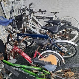 自転車貰ってください