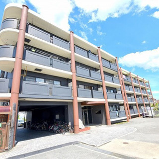 藤井寺市★ペット可、ご契約のお客様に30,000円キャッシュバック♩