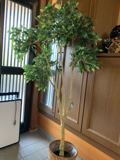 人工観葉植物です☆