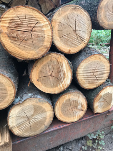 桜、栗(玉切り原木)