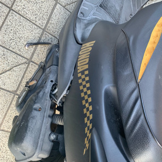 ライブディオ ZX