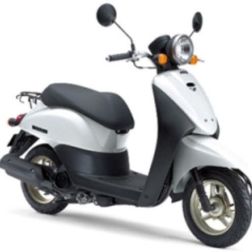 原付 ホンダ トゥデイ HONDA Today 50cc 白