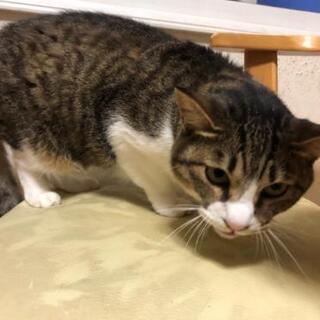 可愛がって下さい。。。