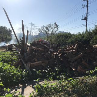 キャンプ場作りのボランティアスタッフ募集します。特典あります♪ - 潮来市