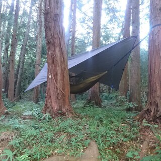 ソロキャンプに興味がある方、無償でお教えいたします。の画像