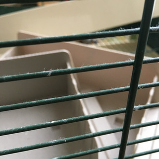 大型鳥かご ゲージ