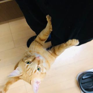大切に育ててくれる方 