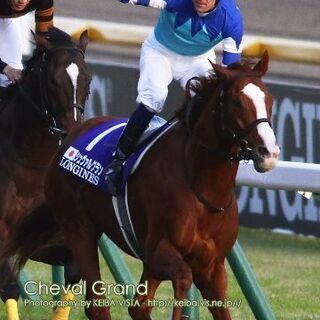 今週阪神競馬場行く人いますか？？
