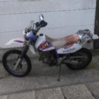 ヤマハTT250Rです。乗りやすいバイクです❗