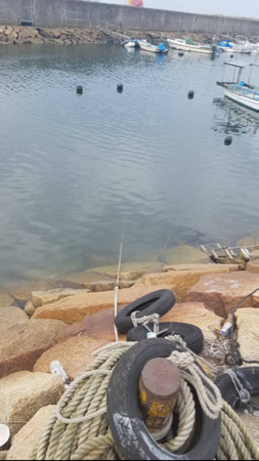 係留アンカー、ロープ(滑車)代