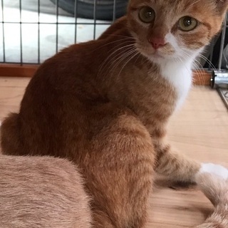 ☆里親様が決定しました☆