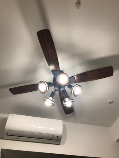 ダイコー DAIKO ASL-511 [LED5灯シーリングファン]