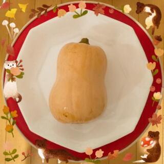 バターナッツ【よねベジ】の画像