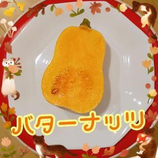 バターナッツ【よねベジ】