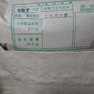 新米「とちぎの星」白米10㎏ 大嘗祭