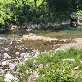 ホール内接客業務全般の画像