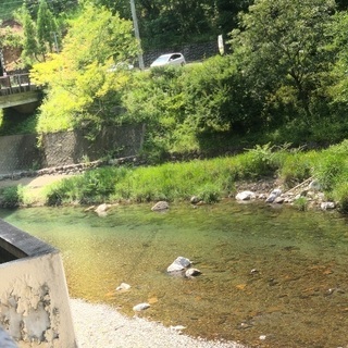 ホール内接客業務全般の画像