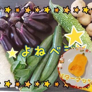 現在予約激混み中【よねベジ】
