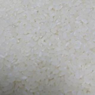 新米「コシヒカリ」「とちぎの星」白米各2㎏食べ比べ4㎏セット
