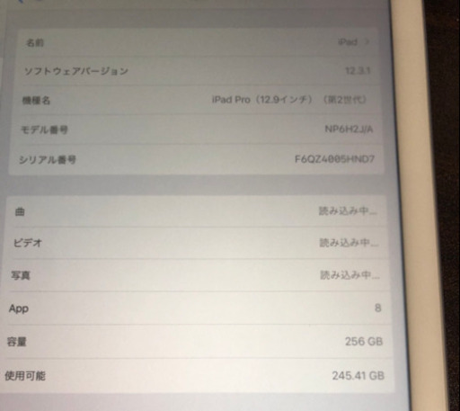iPad Pro 12.9インチ 第二世代 256Gb スペースグレイ Wifi