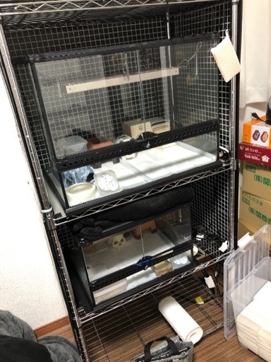 グラステラリウム6045&4530