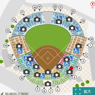 9/24(火) 阪神vs巨人 甲子園 アイビーシート 1枚 通路...