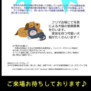 9/29 犬猫ボランティアフリーマーケット 開催します♪ - フリーマーケット