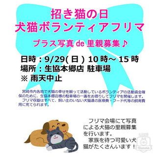 9/29 犬猫ボランティアフリーマーケット 開催します♪ - 宮崎市