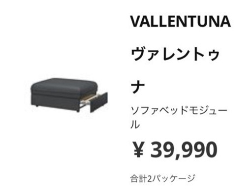 IKEA ソファーベッド 折りたたみベッド (さん吉) 八王子のベッド