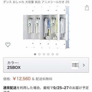 LifeDIY 収納ボックス 扉付き 収納棚 衣類収納ラック 組...