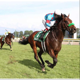 競馬好きな方募集