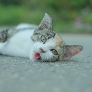 カメラ・写真について習いたい！！の画像