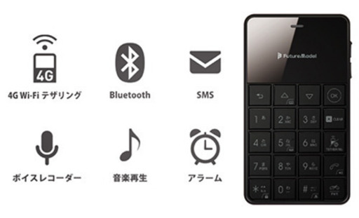 その他 Niche Phone -S 4G