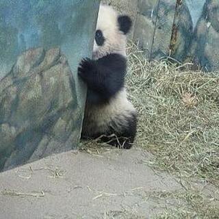 初投稿⁉️ 反応有ると嬉しいです♪