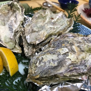 牡蠣食べたくないですか😳？？ - その他