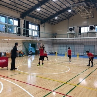☆スマイリーズ ☆小学生バレーボールチーム メンバー募集中！ - メンバー募集