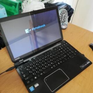 Temnopleurus alexandriアルビノ個体ウニ殻