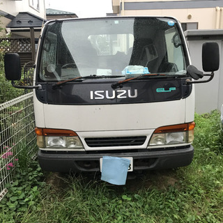 いすゞエルフトラックヒラボデー