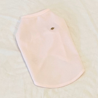 お値下げ！feliz Gate ゴールドタグTシャツ　サイズ2の画像