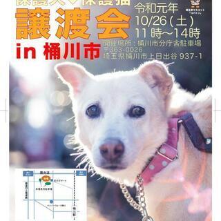 保護犬☆保護猫 譲渡会ＩＮ 樋川市